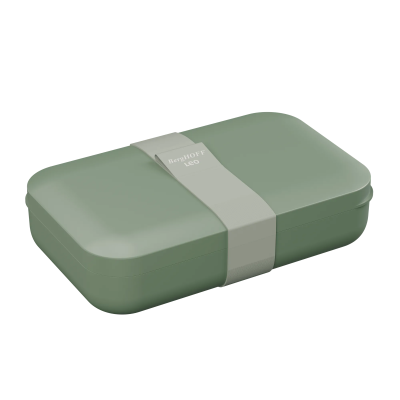 Lunch box 21,50 x 13,10 x 5,40 cm